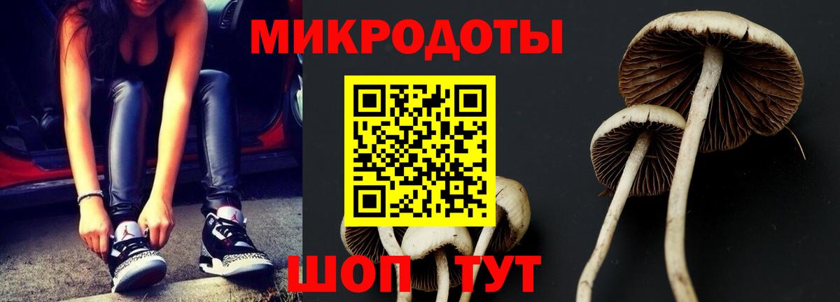 Галлюциногенные грибы Psilocybine cubensis  магазин продажи наркотиков  Партизанск  Вход с VPN 